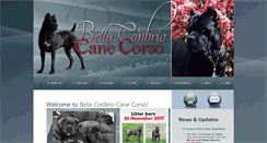 Desktop Screenshot of bellaconbrio.com