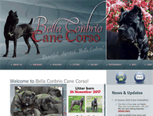 Tablet Screenshot of bellaconbrio.com